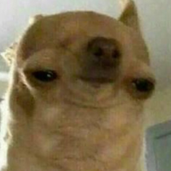 Meet your Posher, Marilyn - Picture 1 of 1